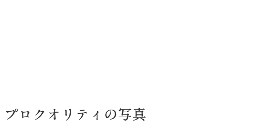 プロクオリティの写真を気軽に撮影